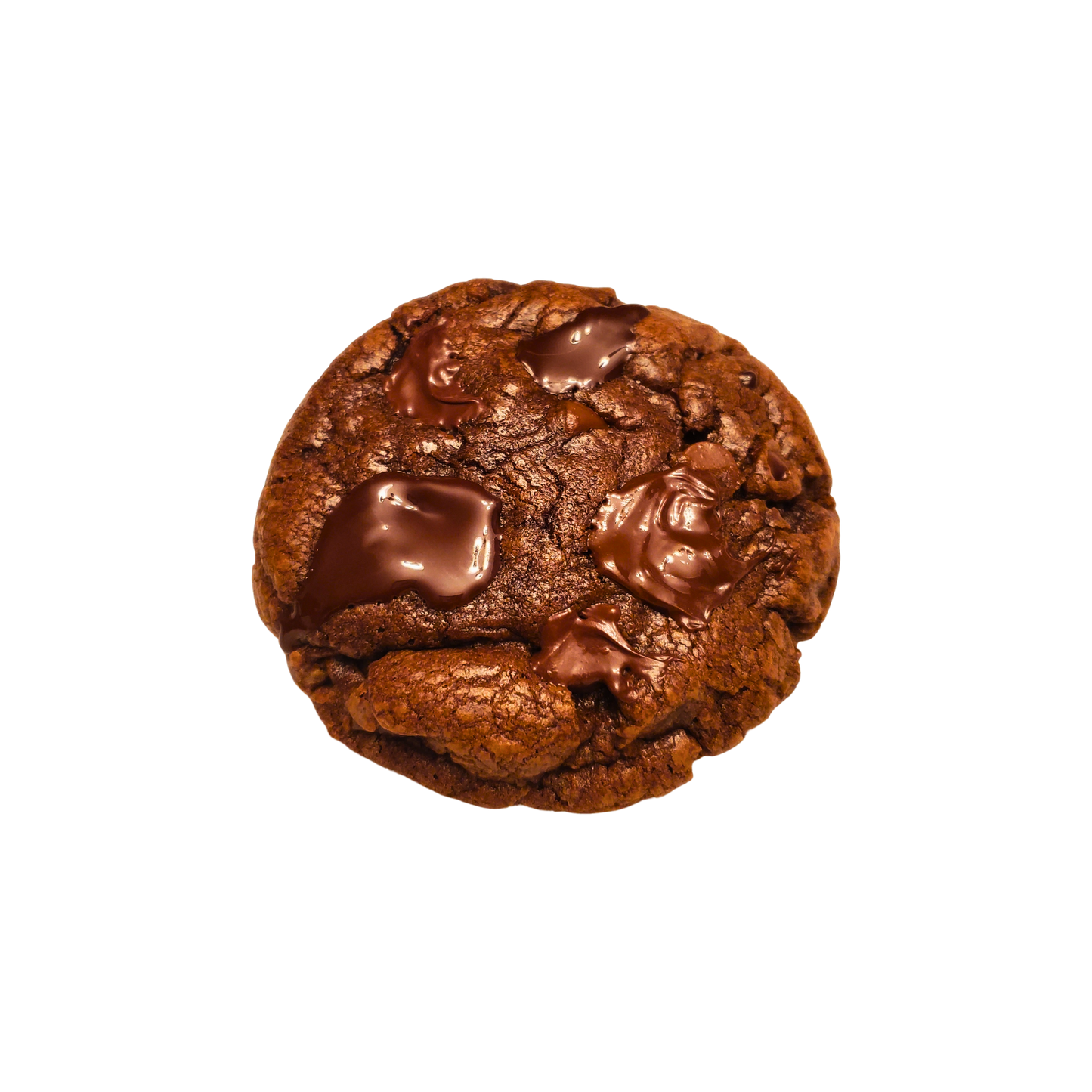 Select Classic Cookie Box - Your Go-To Cookie Box for Any Day Cravings